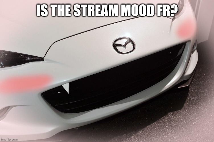 hentai miata, idk | IS THE STREAM MOOD FR? | made w/ Imgflip meme maker