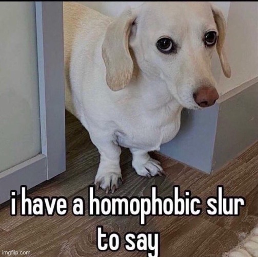 will homophobic slurs also be allowed in three days | image tagged in i have a homophobic slur to say | made w/ Imgflip meme maker