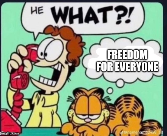 FREEDOM FOR EVERYONE | FREEDOM FOR EVERYONE | image tagged in srs or j | made w/ Imgflip meme maker
