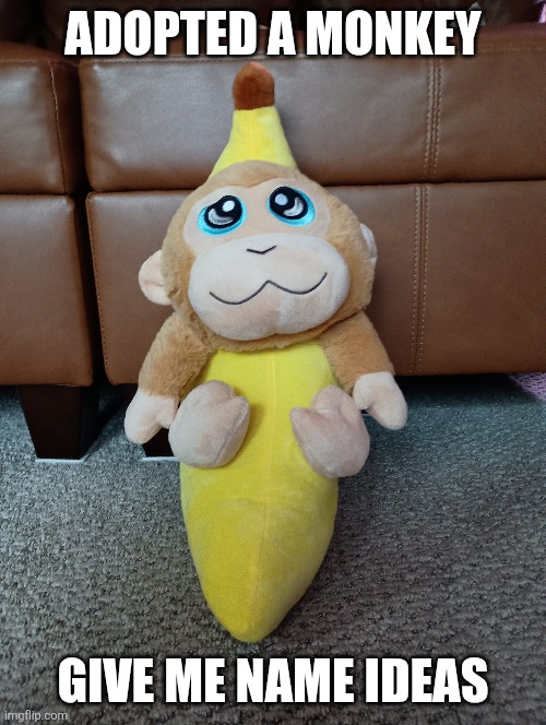 What should his name be? | ADOPTED A MONKEY; GIVE ME NAME IDEAS | image tagged in adopted | made w/ Imgflip meme maker