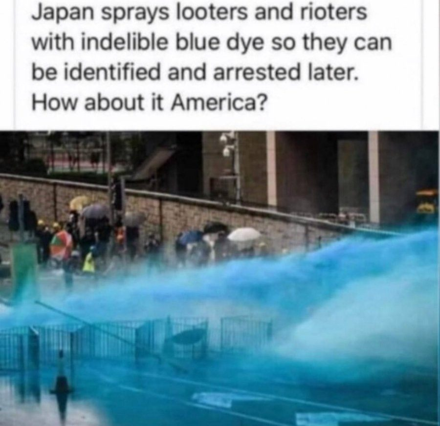 High Quality Say Hello and Goodbye to Antifa and Mini-Soros Protesters. Blank Meme Template