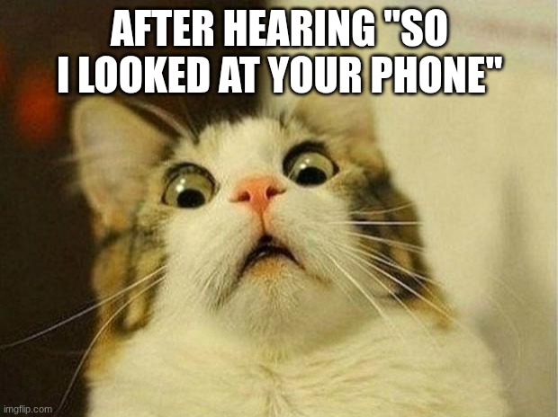Scared Cat Meme | AFTER HEARING "SO I LOOKED AT YOUR PHONE" | image tagged in memes,scared cat | made w/ Imgflip meme maker