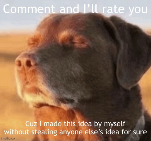 yep, totally original for sure | Comment and I’ll rate you; Cuz I made this idea by myself without stealing anyone else’s idea for sure | image tagged in dog with closed eyes | made w/ Imgflip meme maker