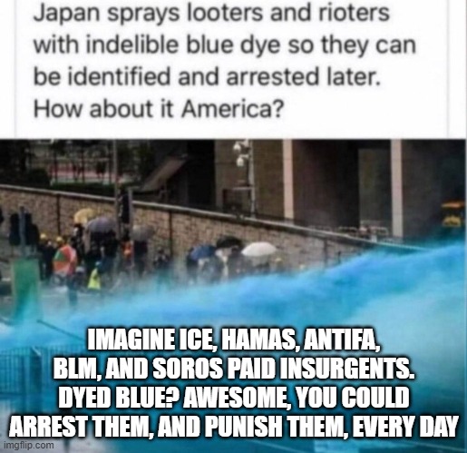 Say Hello and Goodbye to Antifa and Mini-Soros Protesters. | IMAGINE ICE, HAMAS, ANTIFA, BLM, AND SOROS PAID INSURGENTS. DYED BLUE? AWESOME, YOU COULD ARREST THEM, AND PUNISH THEM, EVERY DAY | image tagged in say hello and goodbye to antifa and mini-soros protesters | made w/ Imgflip meme maker