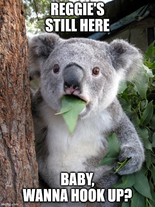Surprised Koala | REGGIE'S STILL HERE; BABY, WANNA HOOK UP? | image tagged in memes,surprised koala | made w/ Imgflip meme maker