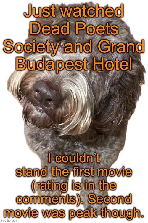 I’m on my way back home btw | Just watched Dead Poets Society and Grand Budapest Hotel; I couldn’t stand the first movie (rating is in the comments). Second movie was peak though. | image tagged in norther's dog | made w/ Imgflip meme maker