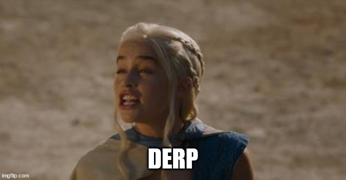 Daenerys derp | DERP | image tagged in daenerys derp | made w/ Imgflip meme maker