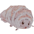 grub Meme Template