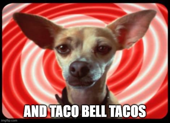 taco bell dog | AND TACO BELL TACOS | image tagged in taco bell dog | made w/ Imgflip meme maker