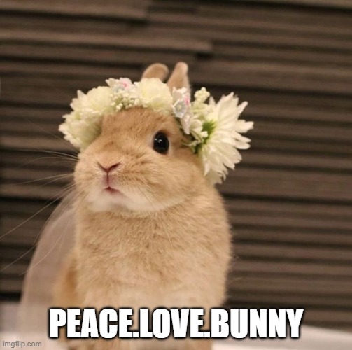 Hippie Bunny | PEACE.LOVE.BUNNY | image tagged in bunnies | made w/ Imgflip meme maker