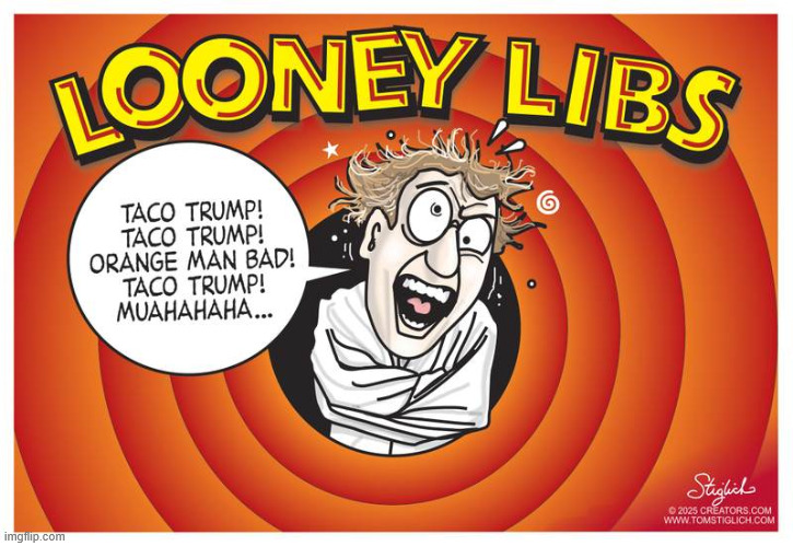 Looney Libs | made w/ Imgflip meme maker