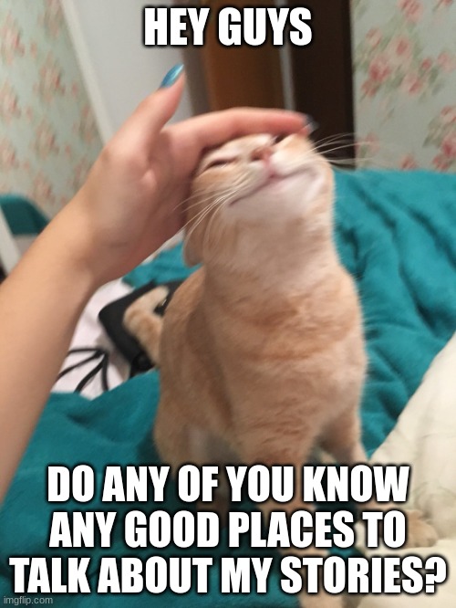 Any helpers here? | HEY GUYS; DO ANY OF YOU KNOW ANY GOOD PLACES TO TALK ABOUT MY STORIES? | image tagged in cat pat | made w/ Imgflip meme maker