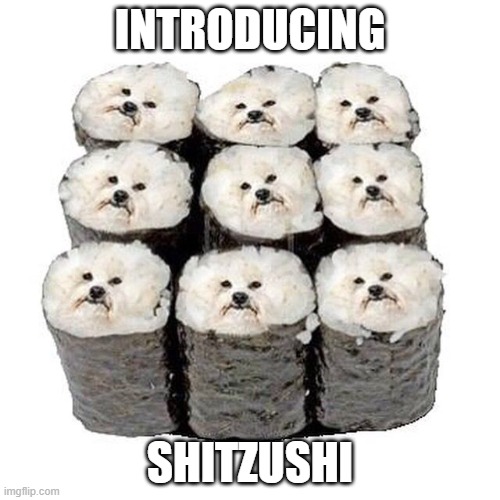 Dog Sushi | INTRODUCING; SHITZUSHI | image tagged in dogs | made w/ Imgflip meme maker