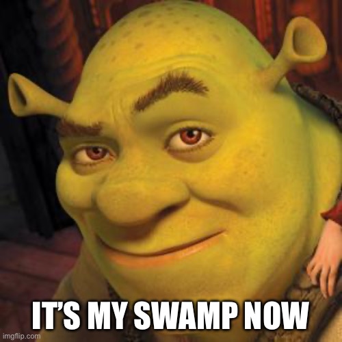 Shrek Sexy Face | IT’S MY SWAMP NOW | image tagged in shrek sexy face | made w/ Imgflip meme maker