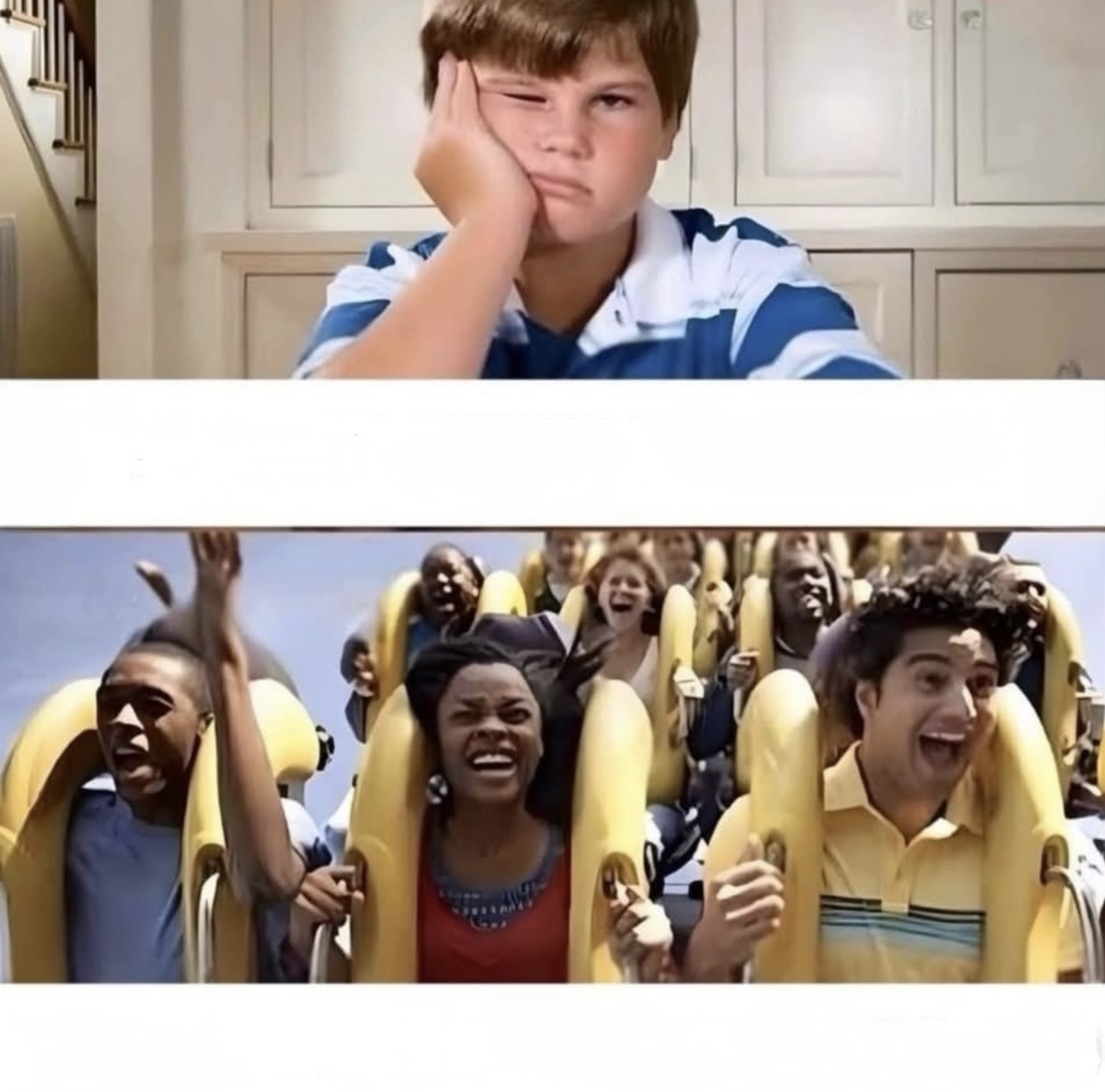 SAD and Roller coaster Blank Meme Template