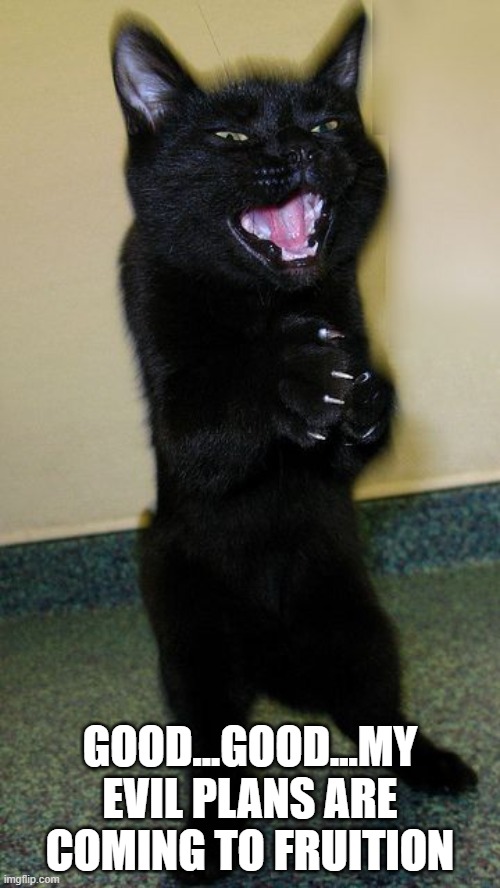 Cat Evil | GOOD...GOOD...MY EVIL PLANS ARE COMING TO FRUITION | image tagged in cats | made w/ Imgflip meme maker