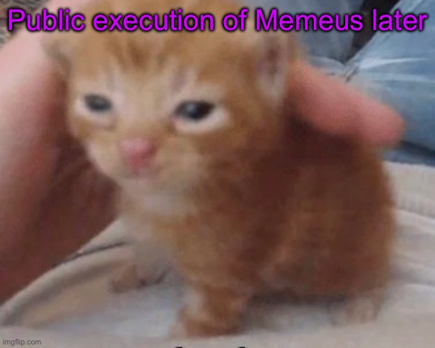 Herbert | Public execution of Memeus later | image tagged in herbert | made w/ Imgflip meme maker