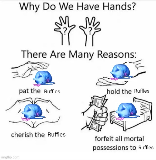 ruffles | Ruffles; Ruffles; Ruffles; Ruffles | image tagged in why do we have hands all blank | made w/ Imgflip meme maker