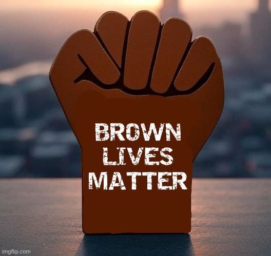 Liberals in 2025 | image tagged in brown,lives,matter | made w/ Imgflip meme maker