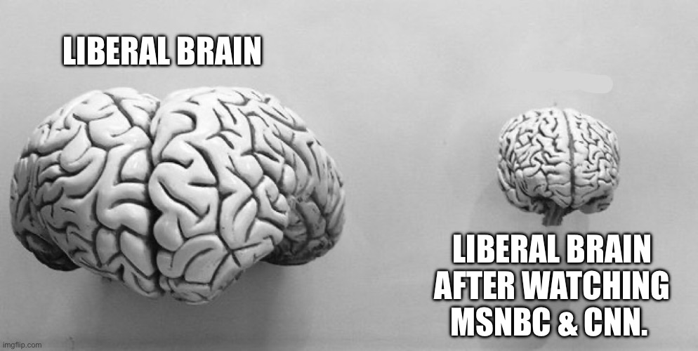 LIBERAL BRAIN LIBERAL BRAIN AFTER WATCHING MSNBC & CNN. | made w/ Imgflip meme maker
