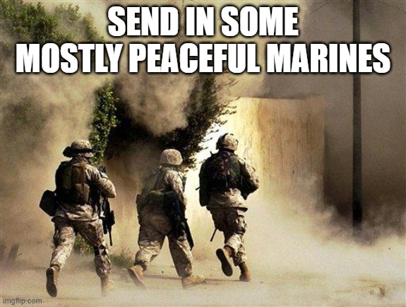 SEND IN SOME MOSTLY PEACEFUL MARINES | image tagged in marines run towards the sound of chaos that's nice the army ta | made w/ Imgflip meme maker