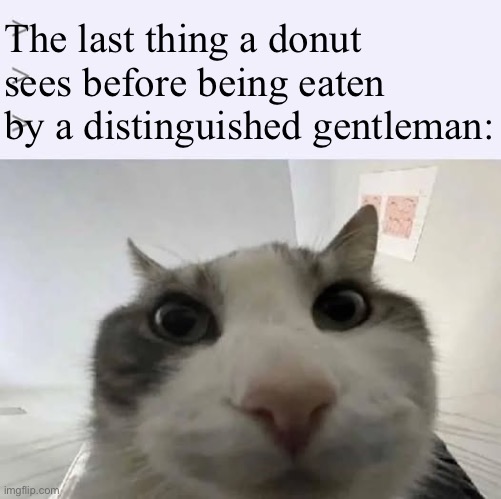 Greentext 'look inside' X meme | The last thing a donut sees before being eaten by a distinguished gentleman: | image tagged in greentext 'look inside' x meme | made w/ Imgflip meme maker