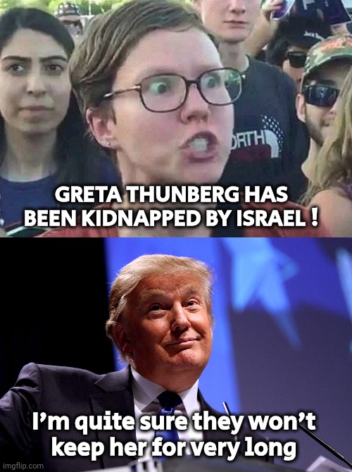 Annoying Little Troll | GRETA THUNBERG HAS BEEN KIDNAPPED BY ISRAEL ! I'm quite sure they won't
keep her for very long | image tagged in triggered liberal,donald trump no2,greta thunberg,stfu,no one cares,stop it get some help | made w/ Imgflip meme maker