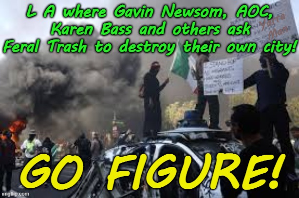 Los Angeles, where Politicians ASK Feral Trash to destroy their own town! GO FIGURE! | L A where Gavin Newsom, AOC, Karen Bass and others ask Feral Trash to destroy their own city! Yarra Man; GO FIGURE! | image tagged in far left progressives,karen bass gavin newsome aoc,feral animals insurrection,criminals,open borders illegal immigrants | made w/ Imgflip meme maker