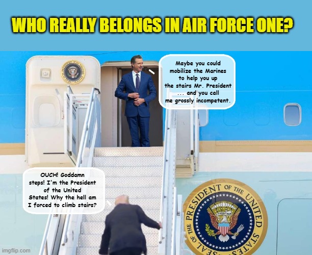 Governor Gavin Newsom shows what a real leader looks like | WHO REALLY BELONGS IN AIR FORCE ONE? Maybe you could mobilize the Marines to help you up the stairs Mr. President ... and you call me grossly incompetent. OUCH! Goddamn steps! I'm the President of the United States! Why the hell am I forced to climb stairs? | image tagged in impeach trump,donald trump memes,government corruption,trump is a moron | made w/ Imgflip meme maker