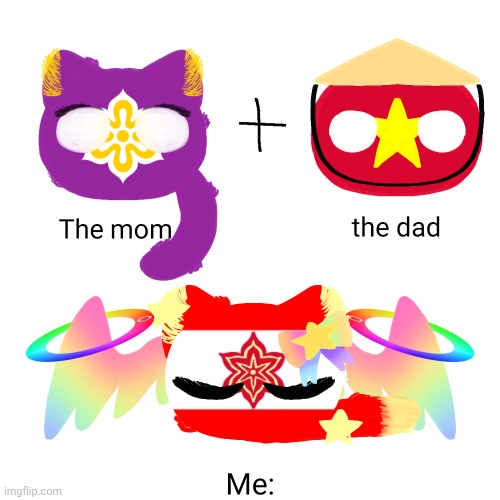 Mom, Dad, Me: | image tagged in countryballs,memes,funny memes,vietnam,japan,cats | made w/ Imgflip meme maker