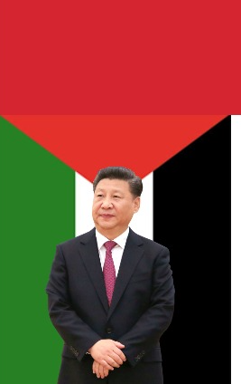 Xi Jinping  PLO flag Blank Meme Template