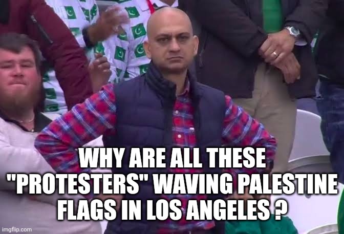 Disappointed Man | WHY ARE ALL THESE "PROTESTERS" WAVING PALESTINE
FLAGS IN LOS ANGELES ? | image tagged in disappointed man | made w/ Imgflip meme maker