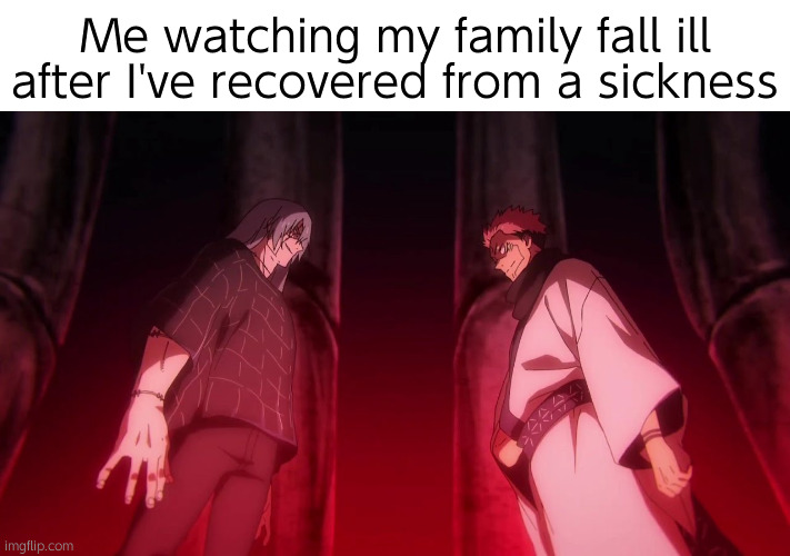 Real | Me watching my family fall ill after I've recovered from a sickness | image tagged in sukuna and mahito stare | made w/ Imgflip meme maker