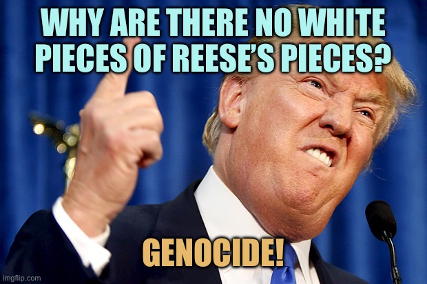 Next E.O.: White Reese’s Pieces | WHY ARE THERE NO WHITE PIECES OF REESE’S PIECES? GENOCIDE! | image tagged in donald trump,memes | made w/ Imgflip meme maker