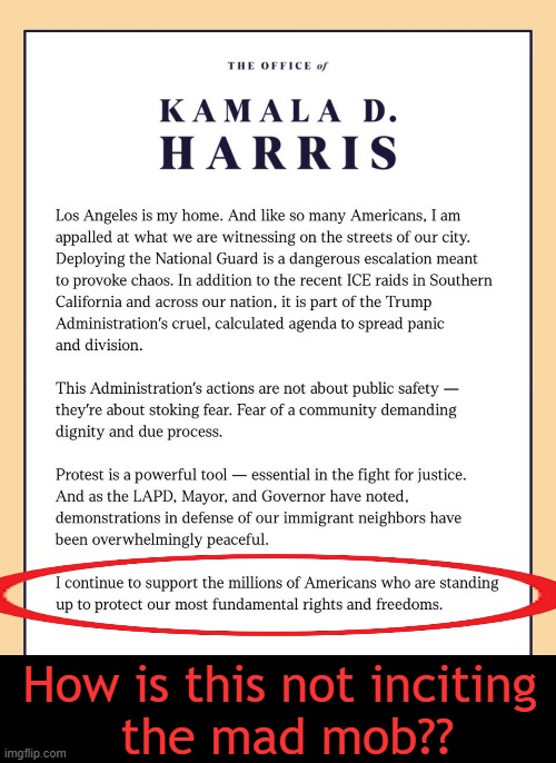 Democrat Supporting Destruction | How is this not inciting 
the mad mob?? | image tagged in kamala harris,loser,democrat,weapon of mass destruction,support,bernie i am once again asking for your support | made w/ Imgflip meme maker