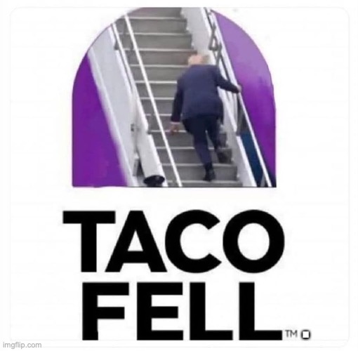 Taco President | . | image tagged in donald trump,republicans,right wing,conservatives,christians,maga | made w/ Imgflip meme maker