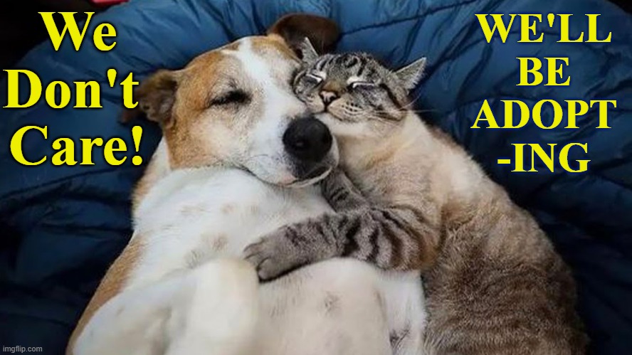 We
Don't 
Care! WE'LL
BE
ADOPT
-ING | made w/ Imgflip meme maker