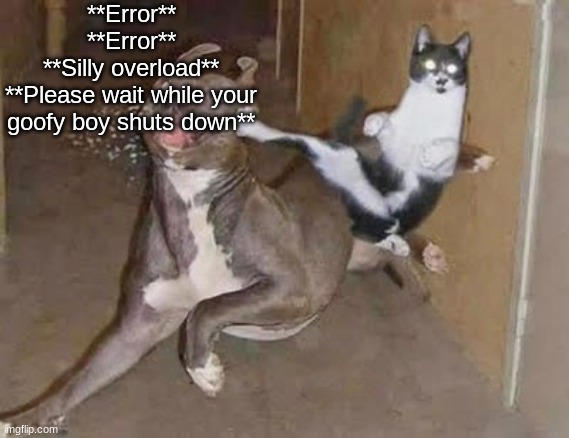 get rekt (announcement version) | **Error**
**Error**
**Silly overload**
**Please wait while your goofy boy shuts down** | image tagged in get rekt announcement version | made w/ Imgflip meme maker