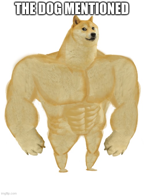 Swole Doge | THE DOG MENTIONED | image tagged in swole doge | made w/ Imgflip meme maker
