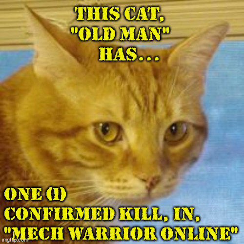 Cat Gamer Kill | THIS CAT, 
"OLD MAN" 
    HAS... ONE (1)
CONFIRMED KILL, IN, 
"MECH WARRIOR ONLINE" | image tagged in confirmed kill | made w/ Imgflip meme maker
