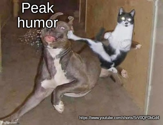 https://www.youtube.com/shorts/SrV0QPDbGd4 | Peak humor; https://www.youtube.com/shorts/SrV0QPDbGd4 | image tagged in get rekt announcement version | made w/ Imgflip meme maker