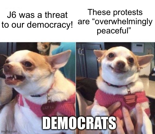 It’s under control | These protests are “overwhelmingly peaceful”; J6 was a threat to our democracy! DEMOCRATS | image tagged in angry chihuahua happy chihuahua | made w/ Imgflip meme maker