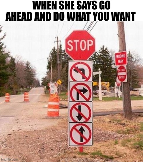 When She Says Go Ahead And Do What You Want | WHEN SHE SAYS GO AHEAD AND DO WHAT YOU WANT | image tagged in chrisjoines1 | made w/ Imgflip meme maker