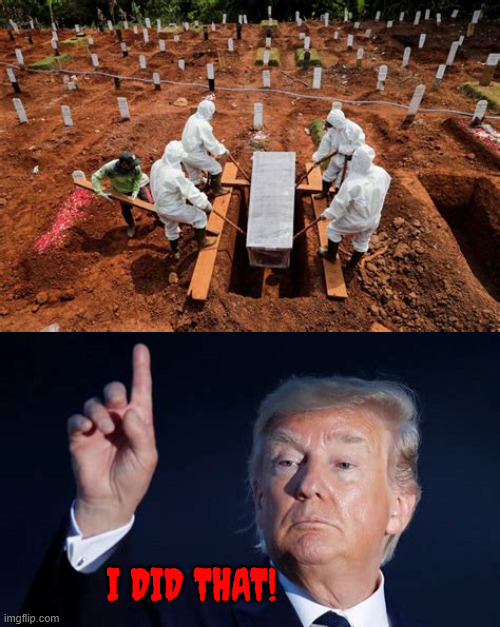I did that | I DID THAT! | image tagged in i did that,death cults,trump's mass grave,covid-19,maga murder,dead magas | made w/ Imgflip meme maker