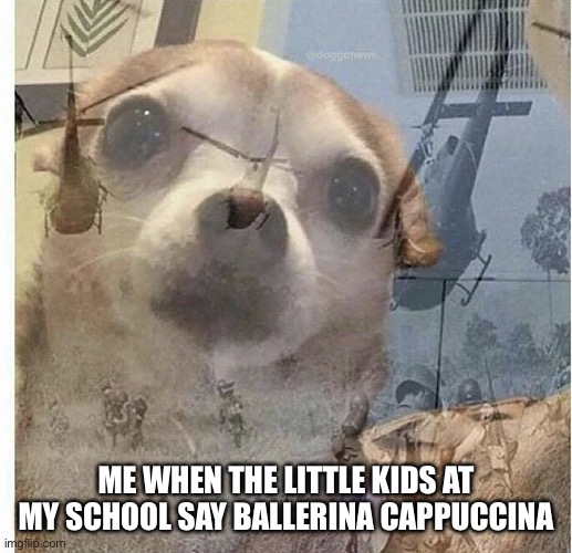 war flashback dog | ME WHEN THE LITTLE KIDS AT MY SCHOOL SAY BALLERINA CAPPUCCINA | image tagged in war flashback dog | made w/ Imgflip meme maker