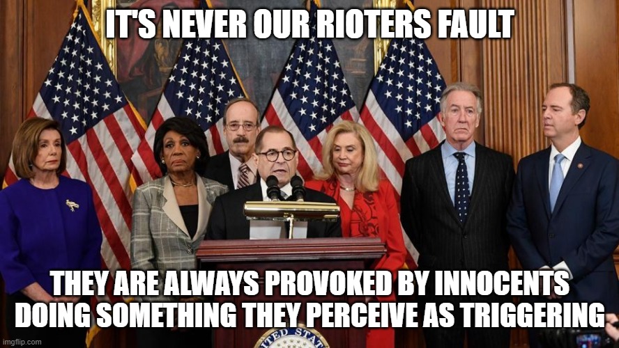 House Democrats | IT'S NEVER OUR RIOTERS FAULT; THEY ARE ALWAYS PROVOKED BY INNOCENTS DOING SOMETHING THEY PERCEIVE AS TRIGGERING | image tagged in house democrats | made w/ Imgflip meme maker
