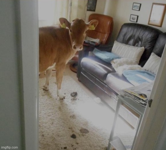 The French fear the indoor cattle rancher | made w/ Imgflip meme maker