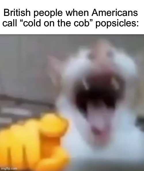 British | British people when Americans call “cold on the cob” popsicles: | image tagged in cat pointing and laughing | made w/ Imgflip meme maker