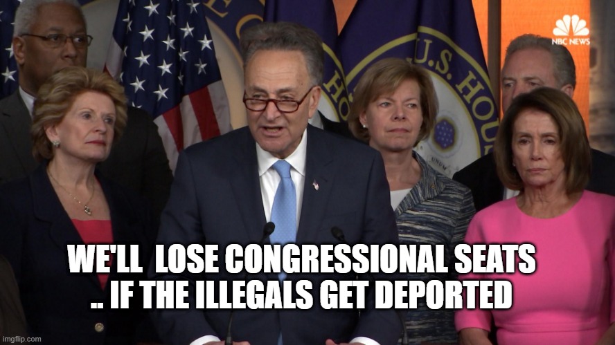 We'll lose congressional seats if our illegals get deported | WE'LL  LOSE CONGRESSIONAL SEATS
.. IF THE ILLEGALS GET DEPORTED | image tagged in democrat congressmen | made w/ Imgflip meme maker