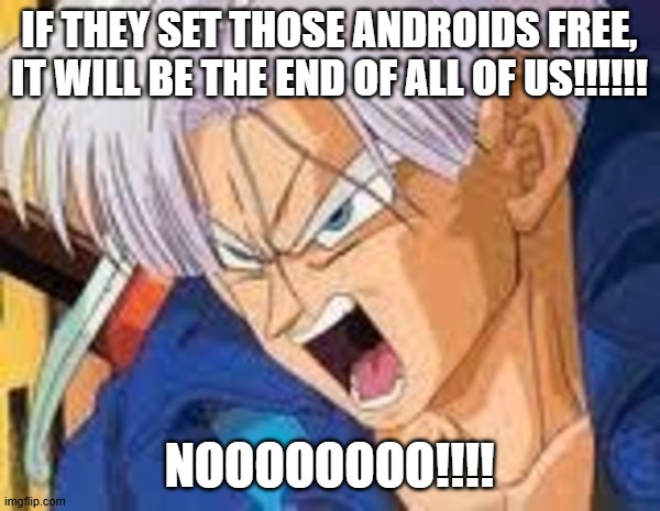 IF THEY SET THOSE ANDROIDS FREE, IT WILL BE THE END OF ALL OF US!!!!!! NOOOOOOOO!!!! | image tagged in trunks yelling | made w/ Imgflip meme maker